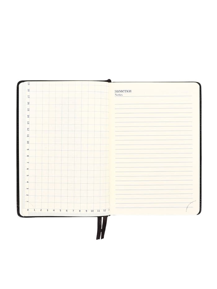 Ежедневник НЕдатированный А5, 136 листов в линейку, кожзам «Небраска», серебряный срез, чёрный