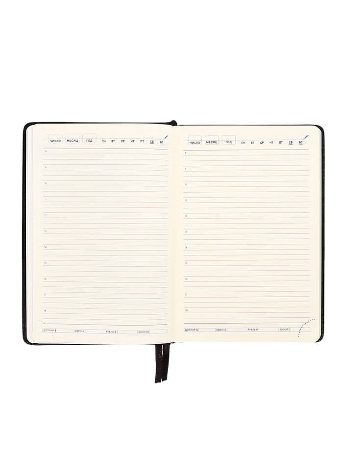 Ежедневник НЕдатированный А5, 136 листов в линейку, кожзам «Небраска», серебряный срез, чёрный