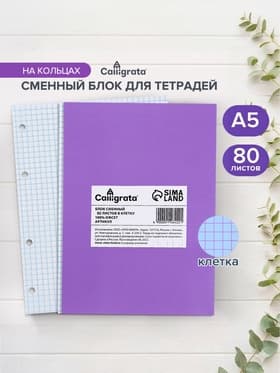 Сменный блок для тетрадей на кольцах А5, 80 листов в клетку, Calligrata, белый 100%
