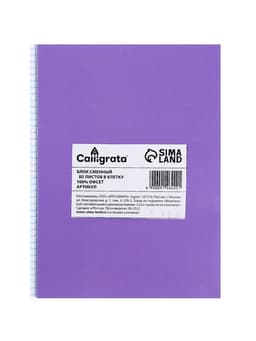 Сменный блок для тетрадей на кольцах А5, 80 листов в клетку, Calligrata, белый 100%