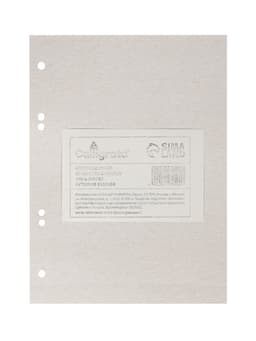 Сменный блок для тетрадей на кольцах А5, 80 листов в клетку, Calligrata, белый 100%