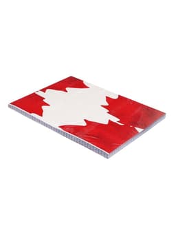 Сменный блок для тетрадей на кольцах А5, 120 листов, в клетку, Calligrata, блок офсет № 160 г/м², белизна 100%