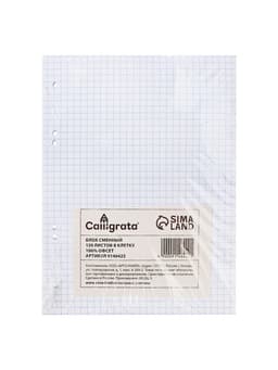 Сменный блок для тетрадей на кольцах А5, 120 листов, в клетку, Calligrata, блок офсет № 160 г/м², белизна 100%