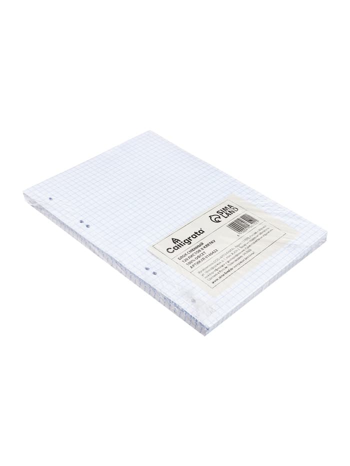 Сменный блок для тетрадей на кольцах А5, 120 листов, в клетку, Calligrata, блок офсет № 160 г/м², белизна 100%