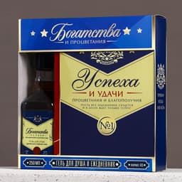 Подарочный набор «Богатства и процветания», гель для душа виски 250 мл и ежедневник, Чистое счастье