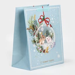 Пакет подарочный новогодний ламинированный «С Новым годом», ML 23×27×11.5 см