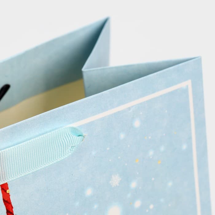 Пакет подарочный новогодний ламинированный «С Новым годом», ML 23×27×11.5 см