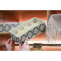 Органайзер для хранения белья Доляна «Гэтс», 8 ячеек, 28×14×10 см, бежевый