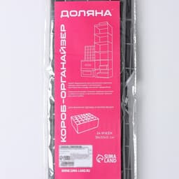 Органайзер для хранения белья Доляна «Кло», 24 ячейки, 38×30×12 см, чёрный