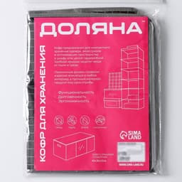 Кофр для хранения вещей Доляна «Кло», 45×30×20 см, чёрный