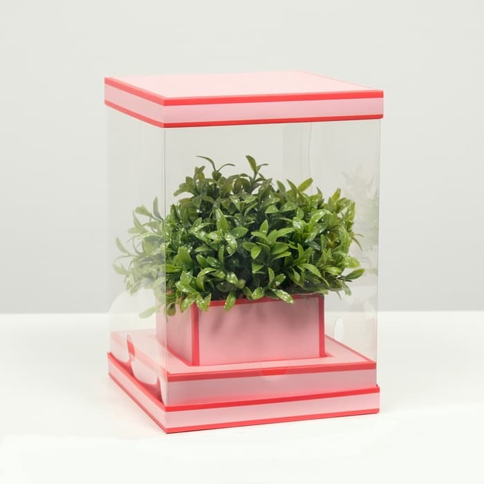 Коробка для цветов с вазой и PVC окнами складная, насыщенно - розовый, 16×23×16 см