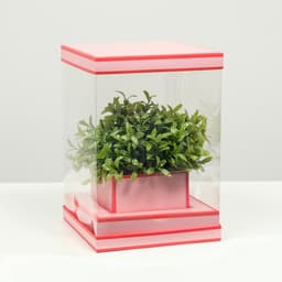 Коробка для цветов с вазой и PVC окнами складная, насыщенно - розовый, 16×23×16 см