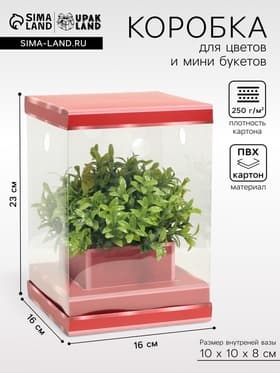 Коробка для цветов с вазой и PVC окнами складная, красный, 16×23×16 см