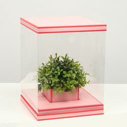 Коробка для цветов с вазой и PVC окнами складная, насыщенно - розовый, 23×30×23 см