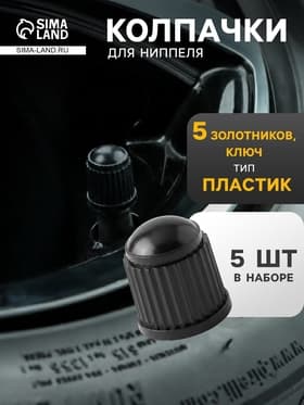 Набор автолюбителя №1, 5 колпачков, пластик, 5 золотников коротких, ключ