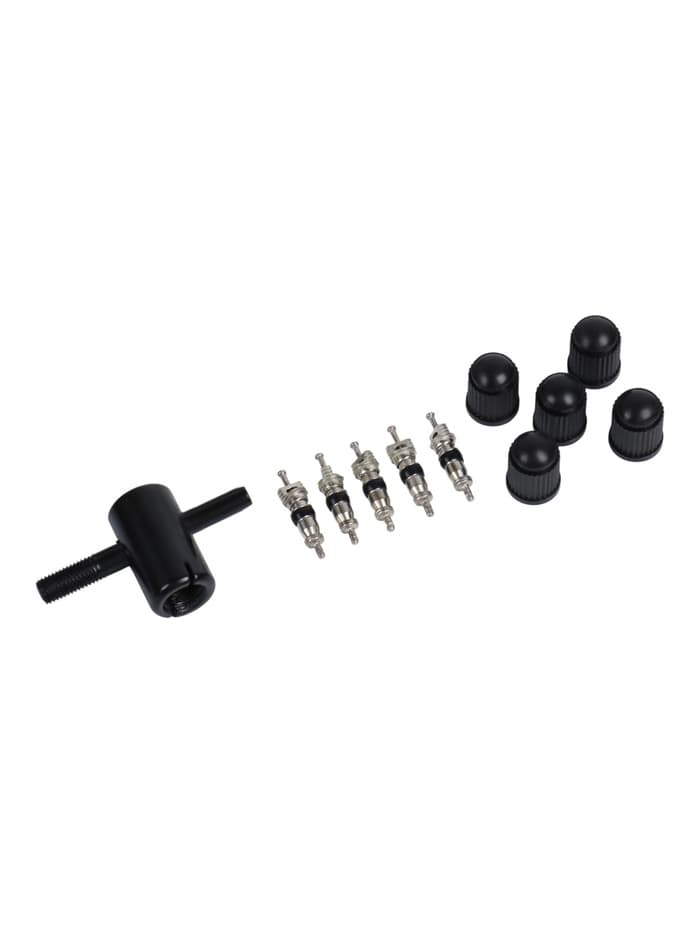 Набор автолюбителя №1, 5 колпачков, пластик, 5 золотников коротких, ключ