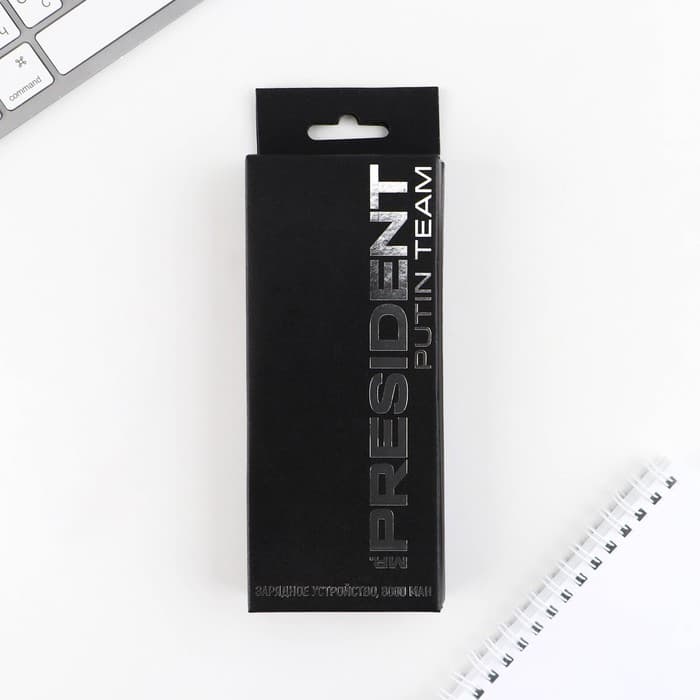 Зарядное устройство «Спорт», 8000мА, модель PB-22, 14.5×6.9 см