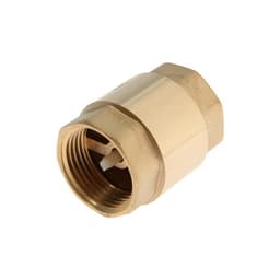 Клапан обратный AQUALINK, 1", внутренняя/внутренняя резьба, пластиковый сердечник