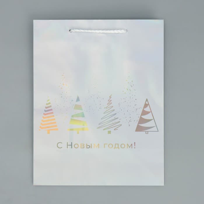 Пакет новогодний подарочный голографический «С Новым годом», 18×23×10 см