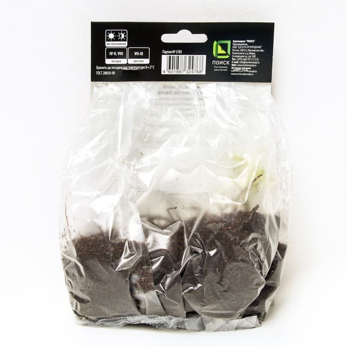 Флокс метельчатый Геркулес, I р-р, 1 шт. 65 h(см), Осень 2024