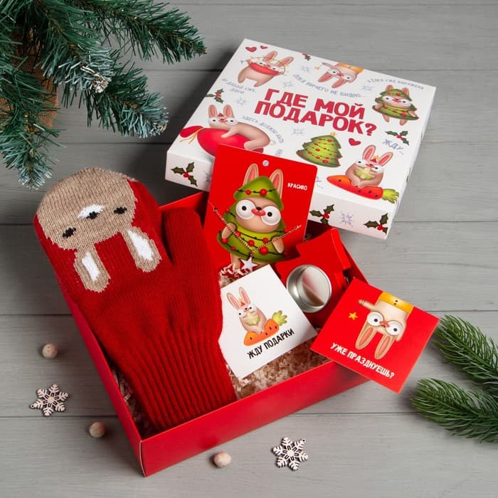 Новогодний подарочный набор «Подарок» варежки размер 19 и аксессуары (4 предмета)