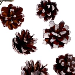 Новогодний декор «Снег»