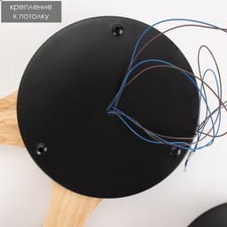 Люстра «Пиатти» 4 LED 96 Вт 3000-6000К черный 65×48×5 см BayerLux