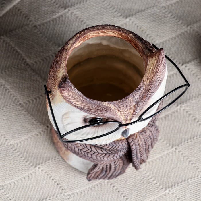 Ваза для цветов «Сова в очка×», 22×14×14 см