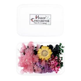 Набор сухоцветов для творчества «Элегантность»