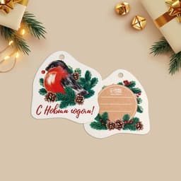 Открытка-шильдик на подарок «Новогодний», МИКС