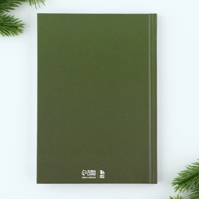 Подарочный набор новогодний, ежедневник А5, 80 листов, ручка синяя паста «Время чудес»