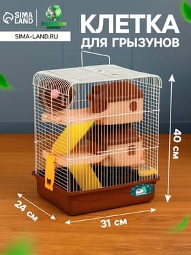 Клетка для грызунов «Пижон», 31×24×40 см двухэтажная. с наполнением, коричневая