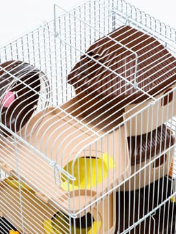 Клетка для грызунов «Пижон», 31×24×40 см двухэтажная. с наполнением, коричневая