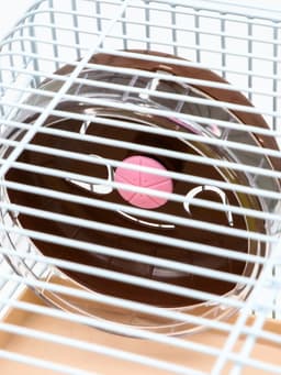 Клетка для грызунов «Пижон», 31×24×40 см двухэтажная. с наполнением, коричневая