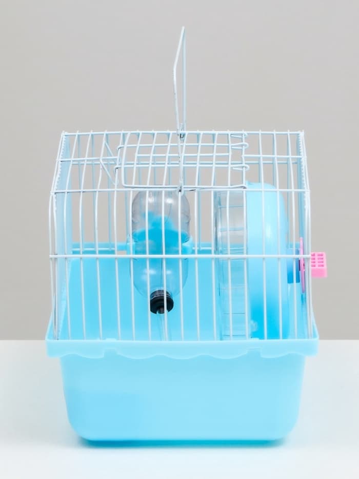 Клетка для грызунов «Пижон», 23×17×17 см, голубая