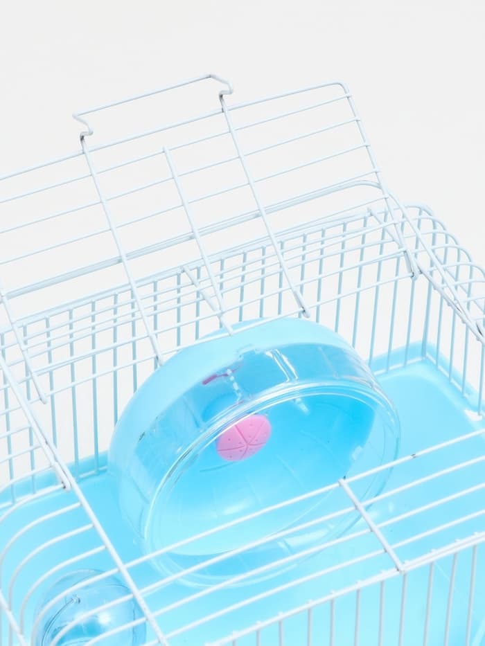 Клетка для грызунов «Пижон», 23×17×17 см, голубая
