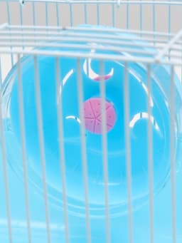 Клетка для грызунов «Пижон», 23×17×17 см, голубая