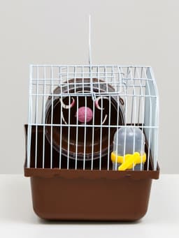 Клетка для грызунов «Пижон», 23×17×17 см, коричневая