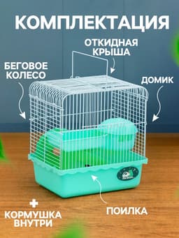 Клетка для грызунов «Пижон», 23×17×26 см, эмаль, зелёная