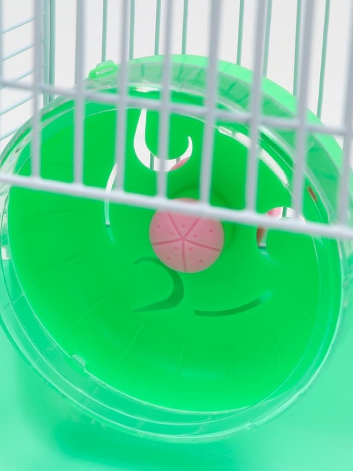 Клетка для грызунов «Пижон», 23×17×26 см, эмаль, зелёная