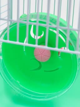 Клетка для грызунов «Пижон», 23×17×26 см, эмаль, зелёная