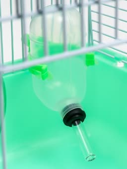 Клетка для грызунов «Пижон», 23×17×26 см, эмаль, зелёная