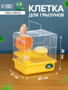 Клетка для грызунов «Пижон», 23×17×26 см, эмаль, жёлтая