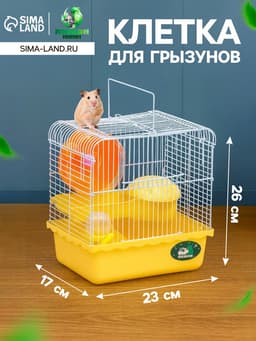 Клетка для грызунов «Пижон», 23×17×26 см, эмаль, жёлтая