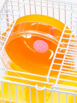 Клетка для грызунов «Пижон», 23×17×26 см, эмаль, жёлтая