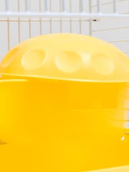 Клетка для грызунов «Пижон», 23×17×26 см, эмаль, жёлтая