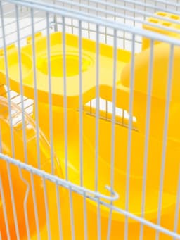 Клетка для грызунов «Пижон», 27×21×26 с. укомплектованная, жёлтая