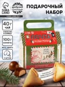 Подарочный набор новогодний «Почта», чай 50 г, печенье 3 шт., конфеты 100 г