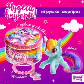 Игрушка-сюрприз Happy Valley «Чудеса внутри!», МИКС