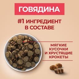 Сухой корм Purina One medium/maxi для взрослых собак, говядина/рис, 10 кг